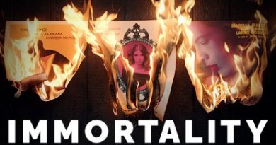 Immortality – mini review by Zapdim