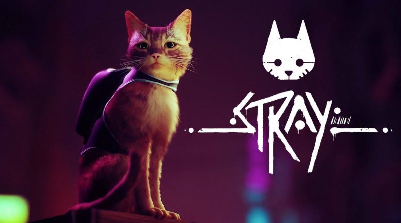 Stray – PC Version Review by Sad Vampires